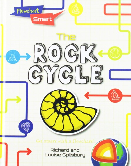 Flowchart Smart The Roch Cycle